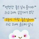 은자당 꽃게