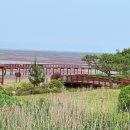 무안황토갯벌랜드B 이미지