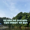 도림개발 | 아이들과 계곡 물놀이 다녀온 후기 - 물고기 잡기 체험까지 수동 ‘도림개 가족휴양지’