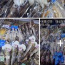 대성야채청과 이미지