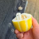 건우농장 이미지