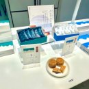 스노우즈 이미지