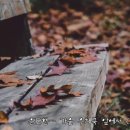 (주)가을 네이버블로그