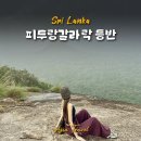 스리랑카 자유여행 피두랑갈라 바위 일출 등반 후기 및 팁