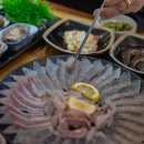 포항물회해물포차 네이버블로그