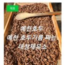 호두기름 짜는 예천 시장통 대창제유 기름집 방문 후기