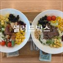 샐러드박스(영등포점) | [서울/영등포] 영등포시장역 근처 영등포샐러드 맛집, 샐러드박스 영등포점 후기