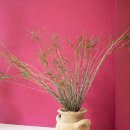 오소록한의원 이미지