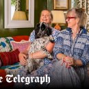 MY DOG GROOMING 이미지