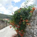 우리네펜션 민박 이미지