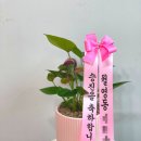 사파동행정복지센터 이미지