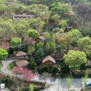 산삼자연휴양림(함양) 이미지