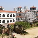 꽃무지풀무지유치원 이미지