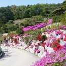 로뎀목장 이미지