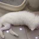 까까PC 이미지