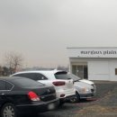 마당나온수탉 이미지