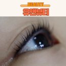 수내속눈썹 분당속눈썹 유앤뷰티 속눈썹펌 후기