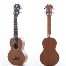 우쿨렐레 이미지