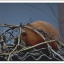 포구 민박 이미지