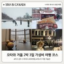 (주) 리움 호스텔 | 오타와 겨울 2박 3일 주말 여행 가성비 코스