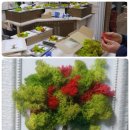 투포케이 카카오 검색결과