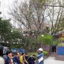 3.1운동길B 이미지