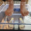 밸런스포인트 이미지