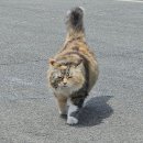 호수산 네이버블로그