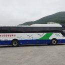뉴부산관광매일투어