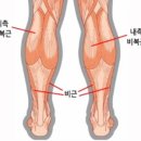 몸짱만들기GYM 이미지