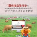 장흥한우 - 서구 상무연하로 15 | 장흥한우