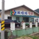 뽀야식당 Daum카페