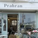 명지애견 이미지