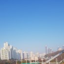 LH홍보관 맞은편 이미지