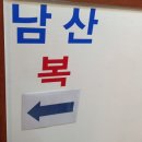 참복집 | 북창동 점심 단체회식장소로 선택한 남산복집