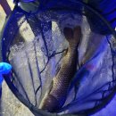 아마존실내낚시터 이미지