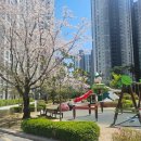 파크이지더원공인중개사사무소 이미지