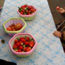 석조농장 이미지