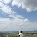 지율목장 | &lt;서산 가볼만한 곳&gt; 벚꽃 끝물에 다녀온 서산 한우목장 웰빙산책로