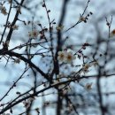 간이화장실_상도근린공원(상도동, 초소앞) | 서울 동작구 동작충효길 1코스 고구동산길 걷기좋은길