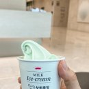 폴바셋 멜론 아이스크림 신메뉴 먹어봄! ’메론 디저트 가격&amp;맛 후기’