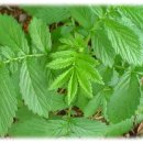 선학초등학교 이미지