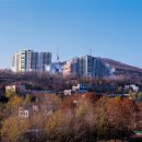 외인아파트 네이버블로그