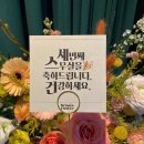 브루니아성수