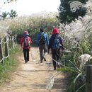 반여3동골목시장 | 장산 억새구경 (반여초등학교 ~ 장산 억새밭 ~ 체육공원 ~ 양운폭포 ~ 폭포사 ~ 대천공원)