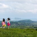 바람불어좋은날 - 함평군 영흥길 90 | 바람불어좋은날