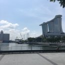 싱가포르 4번+2달 살다온 사람의 여행후기 2편 이미지