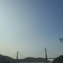 영광고추특화시장 이미지