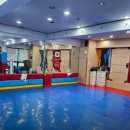 용인대박사백호태권도장 이미지