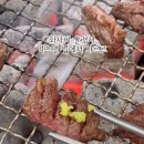 안동하늘소